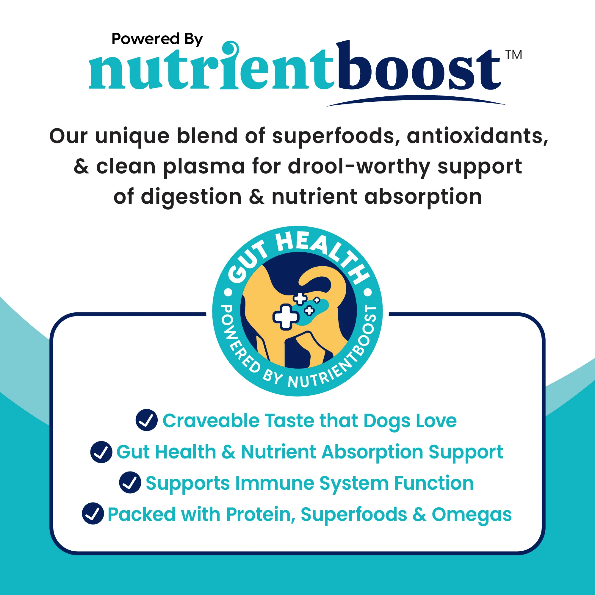 Nutrientboost™ Meal or Topper Skin & Coat Wet Food for Adult Dogs - Image 6