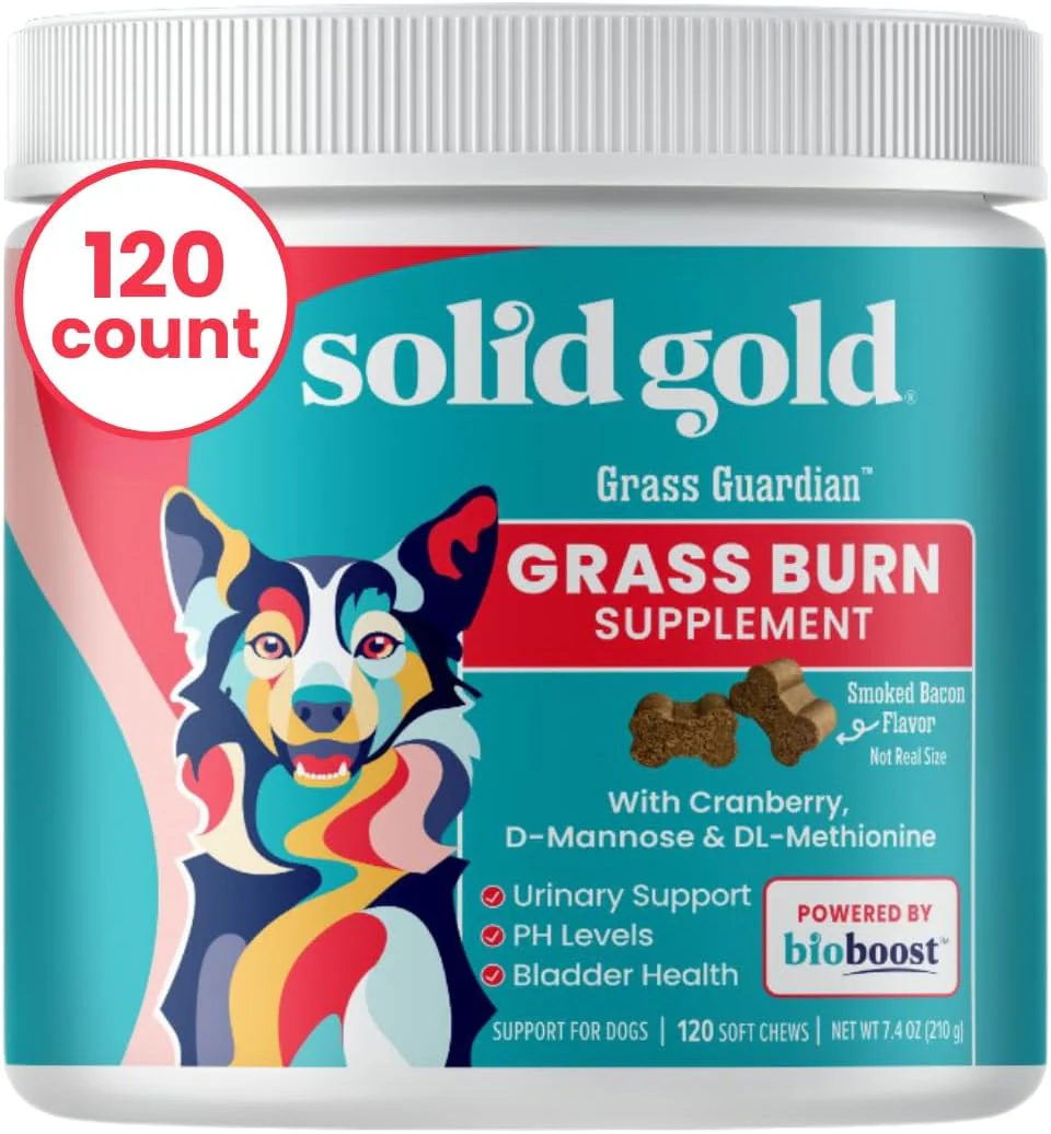 Dog Supplements and Vitamins