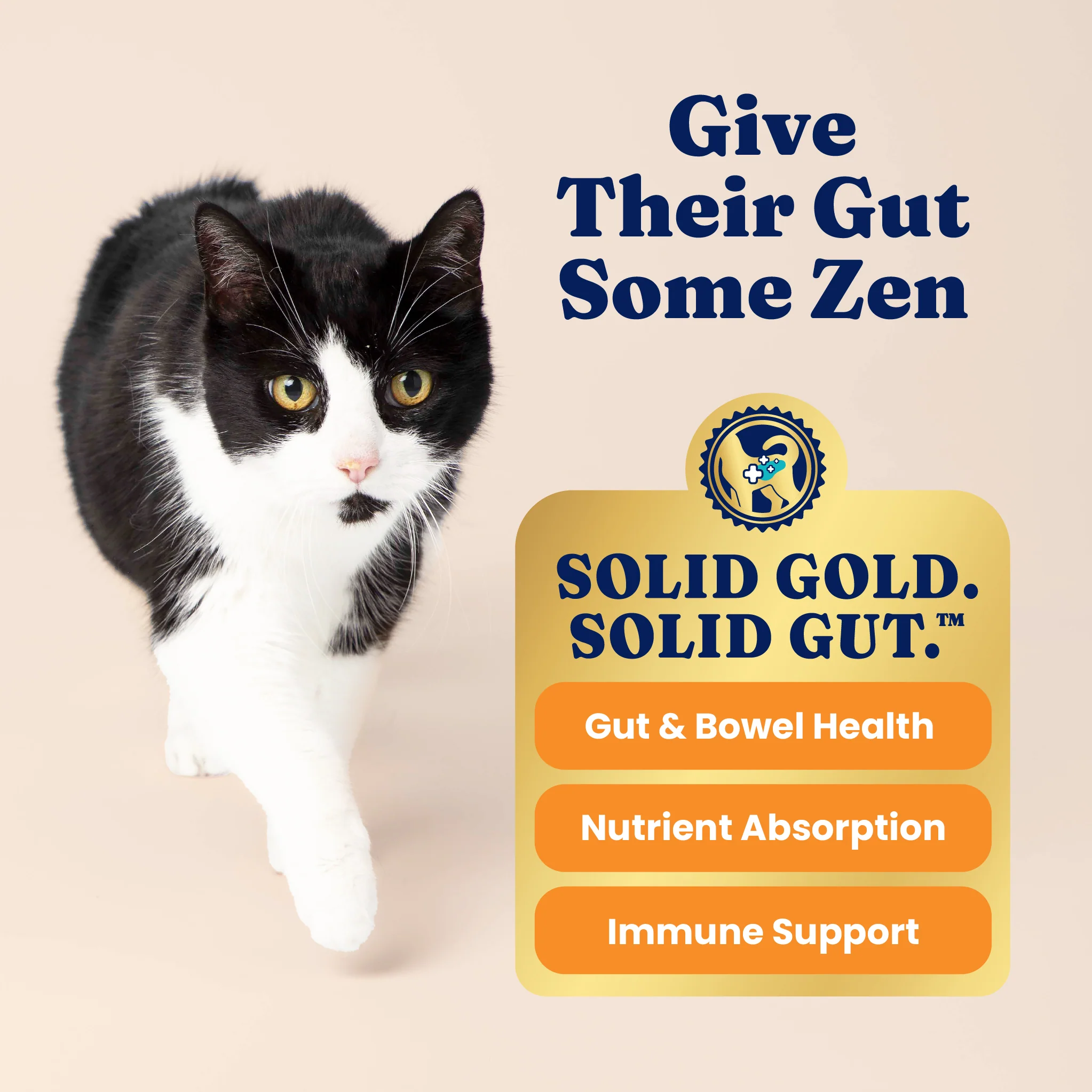 Katz-N-Flocken™ Lamb & Brown Rice Dry Food for All Cats - Image 6