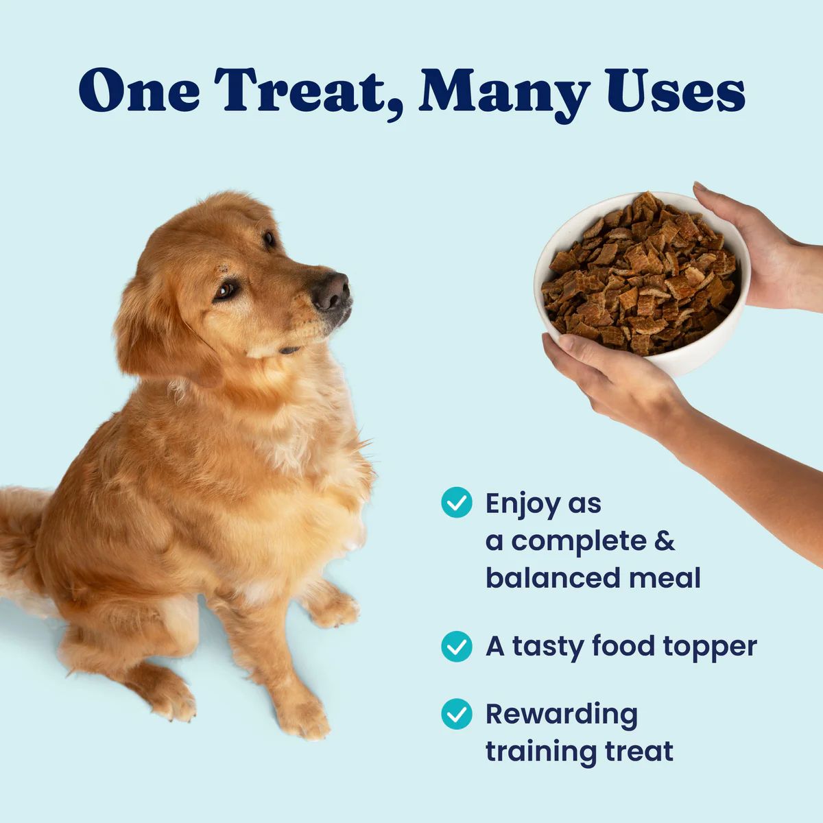 Nutrientboost™ Beef Air Dried Topper or Meal for Dogs - Image 5
