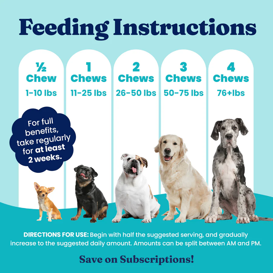 Allergy Support Chews for Dogs - Image 5